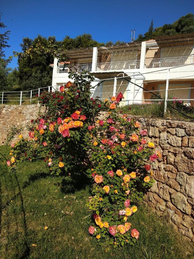 Hotel Theasis Paralia Sergoulas Buitenkant foto