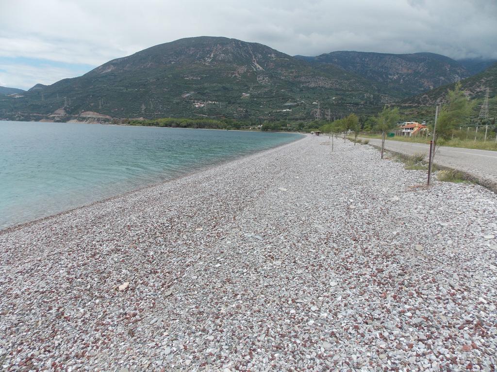Hotel Theasis Paralia Sergoulas Buitenkant foto